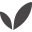Boody logo